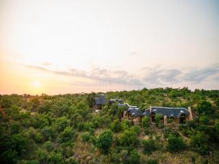 Nedile Lodge - Welgevonden Game Reserve - 9