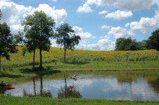 Villa Gites Chambre d hôtes avec piscine Dordogne 2-4-6-8-10 personnes - 5
