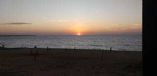 The Icebear Guesthouse - 1