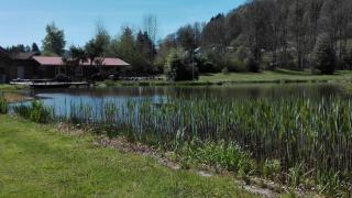 GITE LES ECUREUILS - Fresse - 7