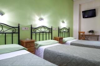 Hostal Los Alpes - 8