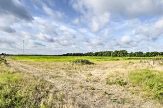 Day Trip to Waco and Temple House on Cattle Farm - Lorena - 4