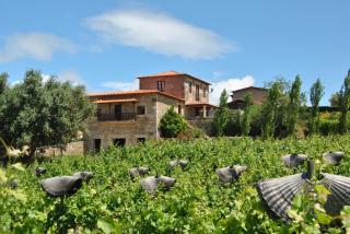 Casa de Sao Miguel Douro - Armamar - 3