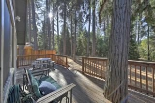 Cabin in Natl Forest 35 Min to Boreal Resort - Colfax - 9