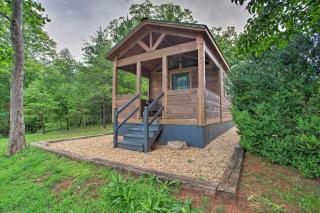 Mill Spring Cabin Near Parker-Binns Winery! - Mill Spring - 0