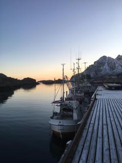 Lofoten Sea Lodge - Sennesvik - 3