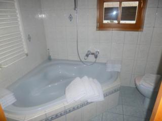 Appartements Oberhof - Wagrain - 9