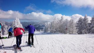Shiga Lake Hotel - Yamanouchi - 4