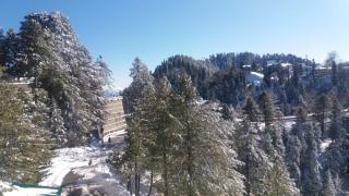 Shangrila Hotels & Resorts Changla Gali - Abbottabad - 9