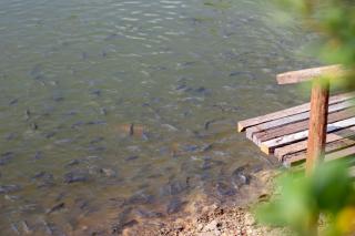 Baan Suan Ramita Resort - 4