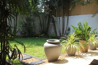 Bird's Nest by Natures Bliss - Ragama - 1