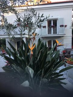 Guesthouse Villa Jung - Bordighera - 6