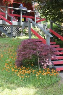 Sunny Bluffs Chalets - 7