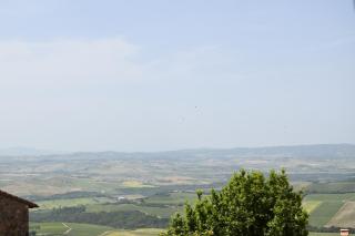 Borgo Vecchio - Montalcino - 7