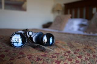 The Grove Falmouth - 1