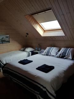 LES CHEVAUX DE L'HIPPOCAMPE - 4