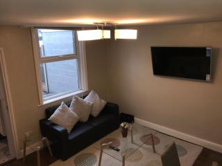 Ground Floor Contemporary 1 Bed Apartment - Birmingham - 2