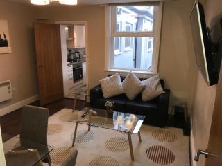 Ground Floor Contemporary 1 Bed Apartment - Birmingham - 8