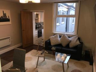 Ground Floor Contemporary 1 Bed Apartment - Birmingham - 0
