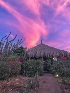 Mondi Lodge - Sint Michiel - 4