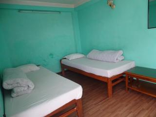 Green House Lodge - Kathmandu - 3