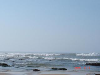 De' Nessie - Port Alfred - 7