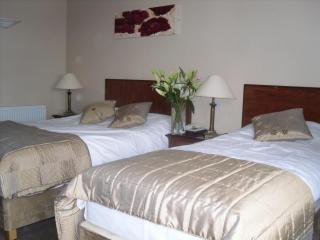 The Horse and Hound Hotel - Ballynabola - 3