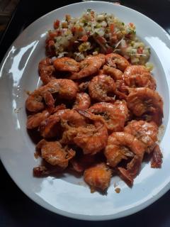 Turtle Reef Guest - 6