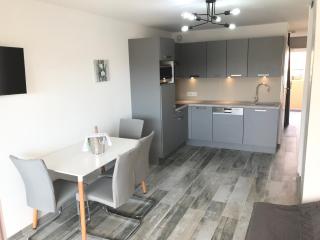 Appartement 2 pieces, renove, 2 piscines+tennis, mer, climatisation - Antibes - 4