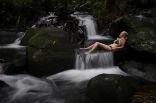 Daintree Cascades - 2