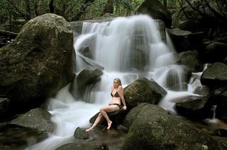 Daintree Cascades - Cape Tribulation - 2