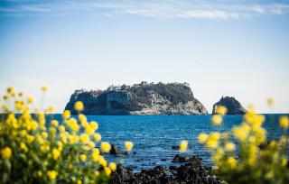 The Grand Sumorum - Seogwipo - 5