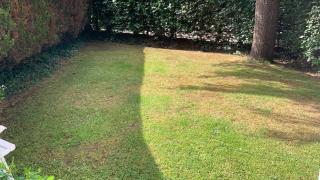 Mill House - Devon Holiday Accommodation - 2