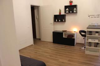Antico ex convento XIV sec Le Cure app Gaia - Firenze - 1