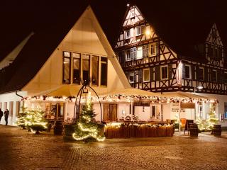 Stadthotel Waldhorn - Kirchheim unter Teck - 9