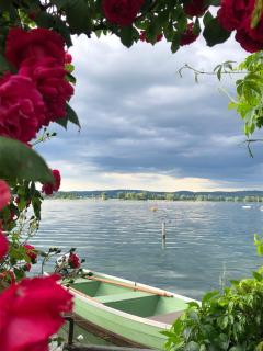 Idyllische Ferienwohnung am See - Ermatingen - 7