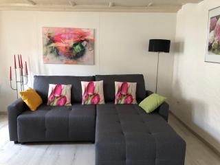 Idyllische Ferienwohnung am See - Ermatingen - 3