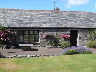 Courtyard Farm Cottages - Boscastle - 8