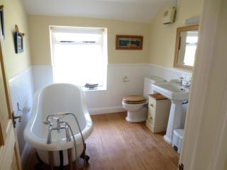 Courtyard Farm Cottages - Boscastle - 1