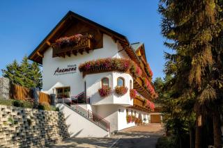 Haus Anemone - Serfaus - 0