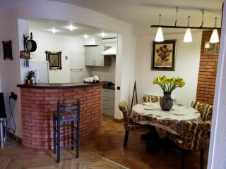 Tbilisi City Heart Apartment - Tbilisi - 9