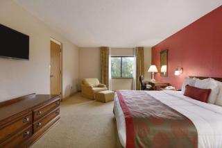 Ramada by Wyndham Raleigh - Raleigh - 1
