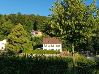 Hotel Schiff Nagold - Nagold - 7