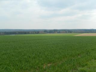 Ferienwohnung Ebeling under rainbow - Dassel - 6