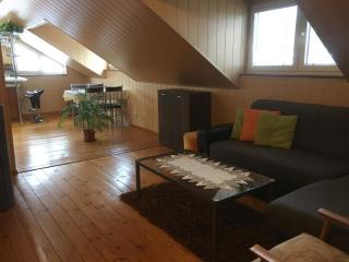 Apartman U Holica - Banská Štiavnica - 6