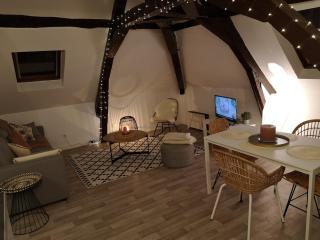 Logement Cosy rénové au pied de la Cathédrale avec climatisation - Reims - 9
