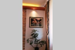 Oasis felix apartment - Belgrade - 1