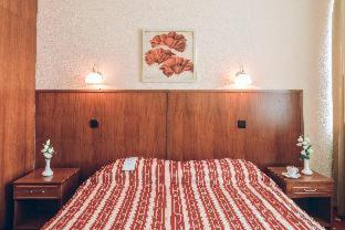 Premier Hotel Rus - Kyiv - 6
