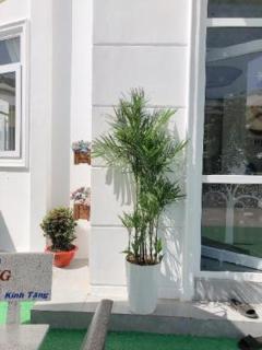 Sele House - 4