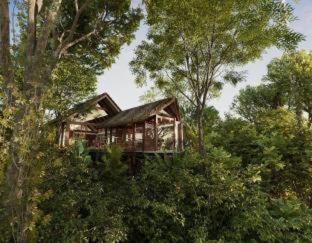 Amor Arenal Adults Friendly - Fortuna - 9